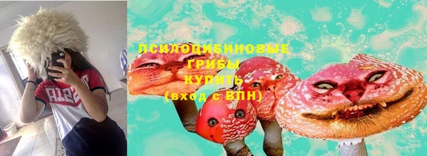 винт Богородицк