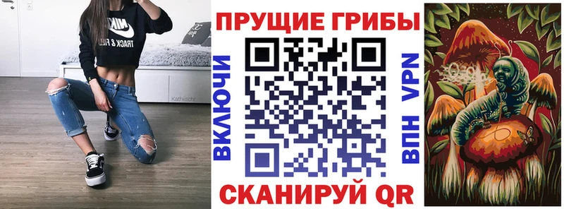 Купить где  Мариинск  Псилоцибиновые грибы Psilocybe 